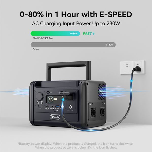 Flashfish T300Pro 26012620003 фото